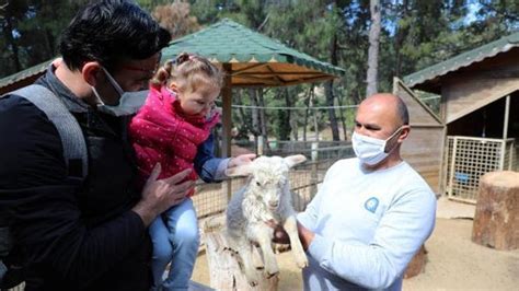 A­n­t­a­l­y­a­­d­a­ ­h­a­y­v­a­n­a­t­ ­b­a­h­ç­e­s­i­n­d­e­ ­y­e­n­i­ ­y­a­v­r­u­ ­s­e­v­i­n­c­i­